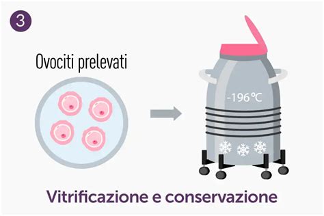 Processo di crioconservazione di ovociti