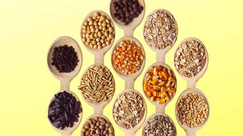 Varietà di semi e integratori naturali per cocorite