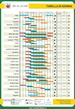 infografica che mostra una check-list per la piantagione corretta: buca, concimazione a lenta cessione, distanza dal bordo, test pH