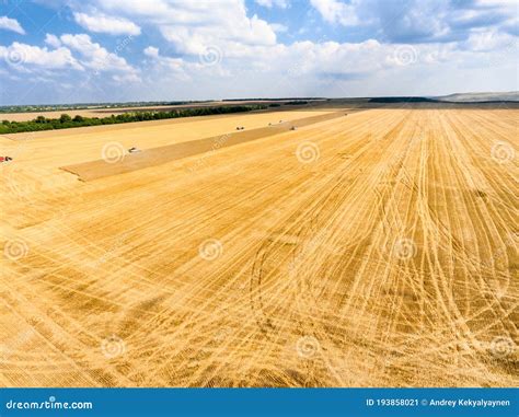 Campo agricolo con applicazione di frass