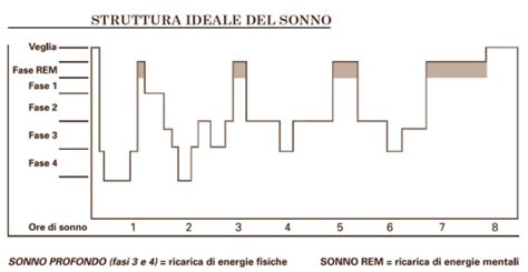 Attività cerebrale durante il sonno REM
