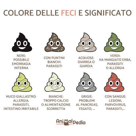 Infografica: Significati delle feci nei sogni