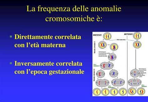 Tavola delle anomalie cromosomiche comuni