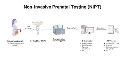 Workflow del test NIPT