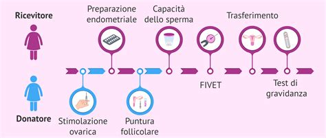 rappresentazione schematica del processo di fecondazione eterologa con ovodonazione