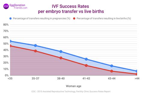 grafico illustrativo sui tassi di successo della FIVET con ovodonazione