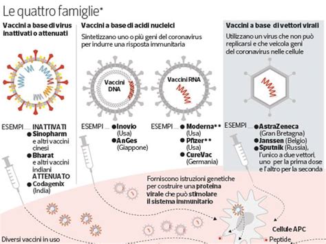 Meccanismi d'Azione dei Vaccini