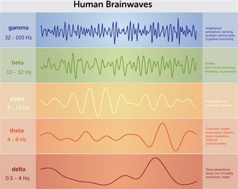 infografica che mette a confronto le onde cerebrali durante il sonno REM e la stimolazione bilaterale