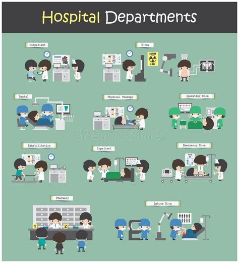illustrazione del layout dei servizi ospedalieri e ambulatoriali