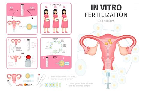 Strumenti per l'inseminazione artificiale
