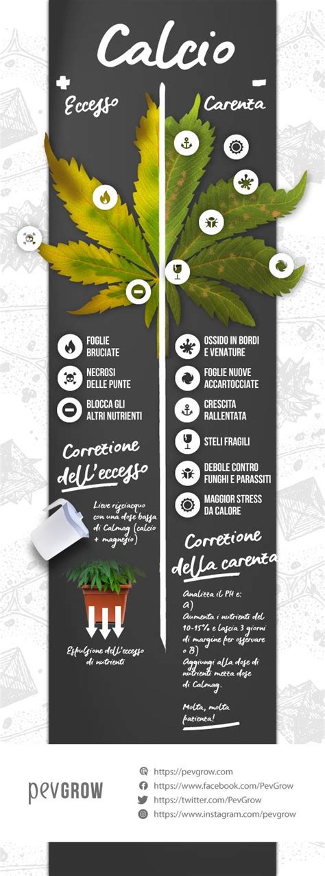 Infografica sulla diffusione dell'uso di cannabis in gravidanza