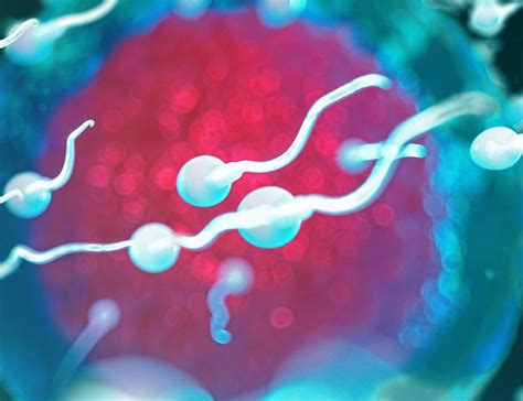 Rappresentazione della diminuzione della qualità dello sperma con l'età