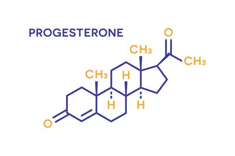 Funzione del progesterone in gravidanza