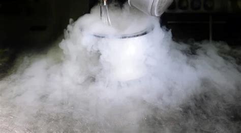 illustrazione di ovuli congelati in azoto liquido