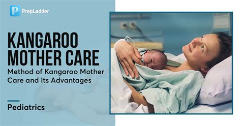 Illustrazione che rappresenta la Marsupioterapia (Kangaroo Mother Care)