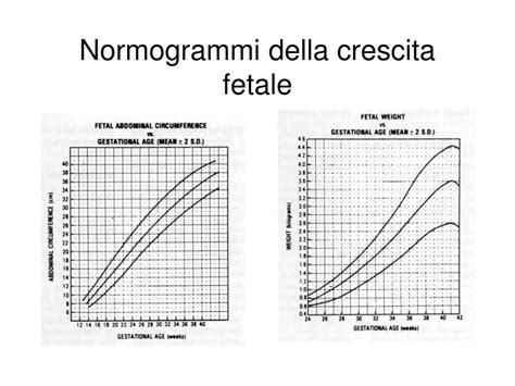 Diagramma di monitoraggio della crescita fetale