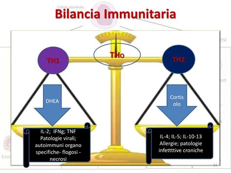 Diagramma Bilancia Immunitaria Th1/Th2