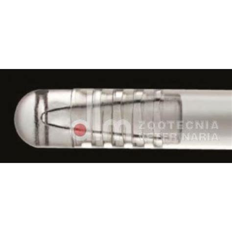 Dettaglio di pistolet e guaina per inseminazione
