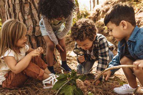 Bambini che giocano in un bosco