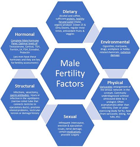 Overview of fertility factors