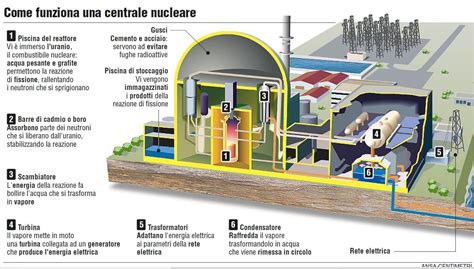 rappresentazione schematica di un reattore nucleare