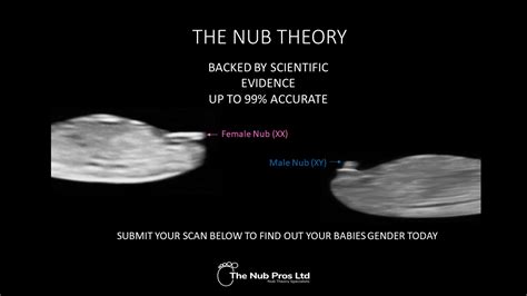 Illustrazione concettuale della Nub Theory