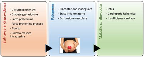 Illustrazione del rischio di gravidanza
