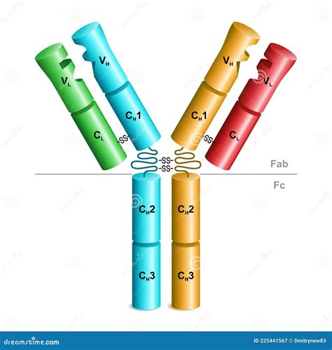 Struttura schematica delle epatopatie alcoliche