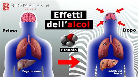 Infografica sugli effetti dell'alcol sulla fertilità femminile
