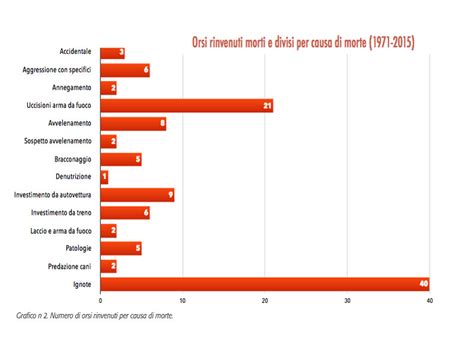 Grafico Worldometer: cause di morte globali