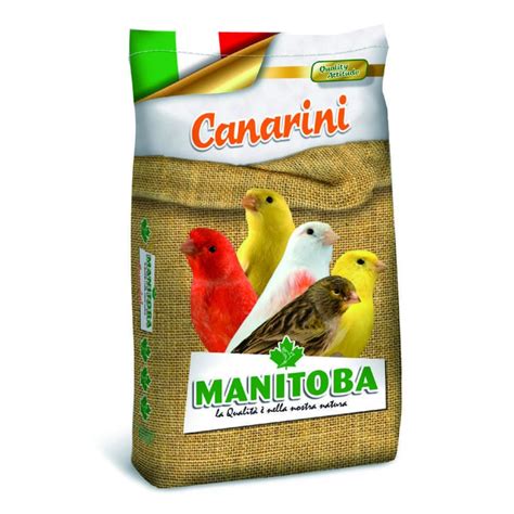 Varietà di pastoncini e integratori per canarini