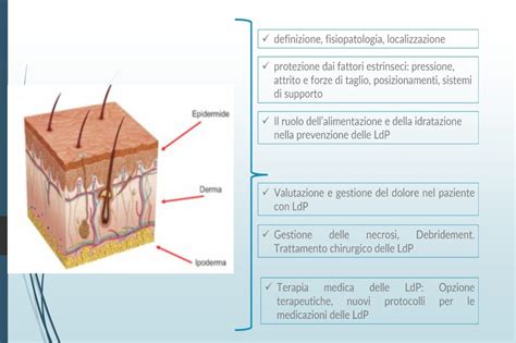 Pieghe cutanee e arrossamenti