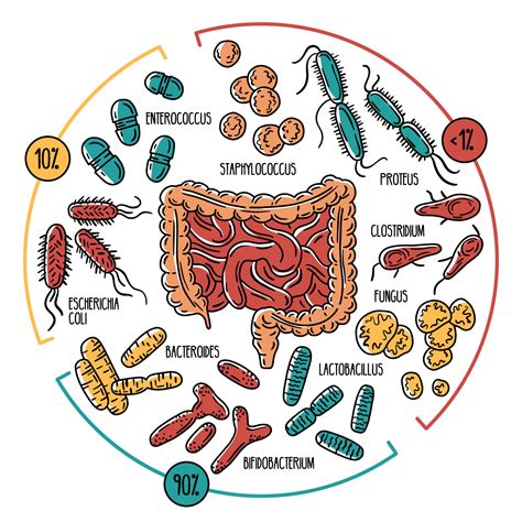 Microbiota vaginale sano vs disbiotico