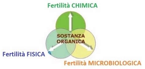 Interazione fertilità fisica chimica biologica