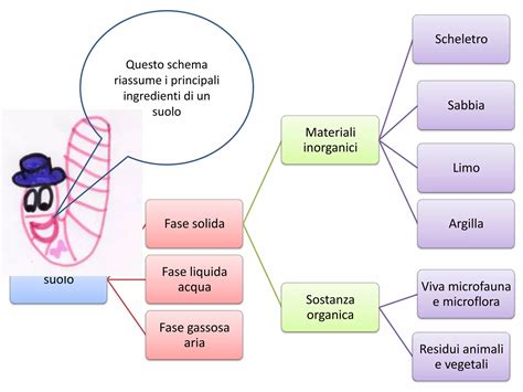 Microfauna del suolo