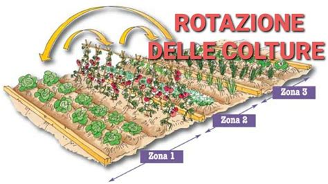 Campo con rotazione delle colture