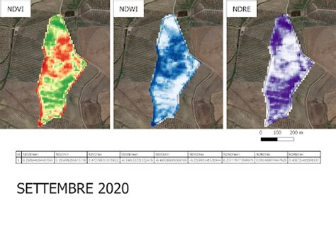 Mappa NDVI per il vigore vegetativo