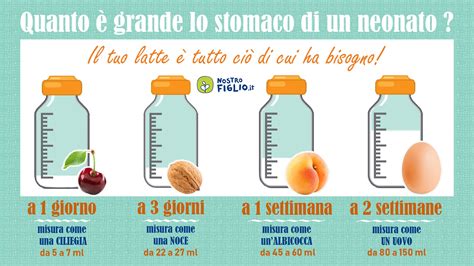 Diagramma comparativo delle dimensioni dello stomaco di neonato e adulto
