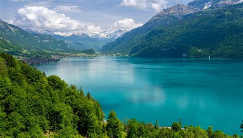 Illustrazione di un lago alpino al crepuscolo