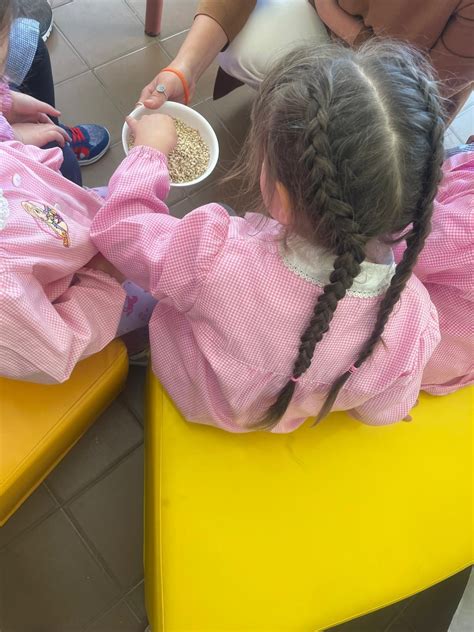 Bambini che imparano sui cereali