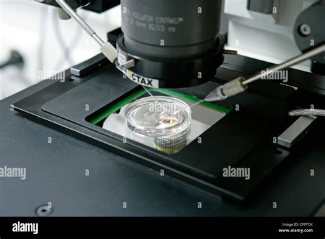 Microscopio con ago per ICSI