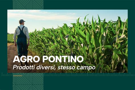 Rete di consultori nel territorio pontino