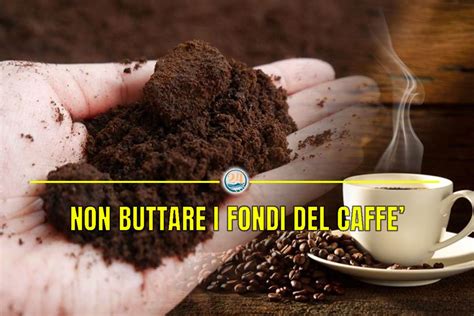 Lumaca che evita i fondi di caffè