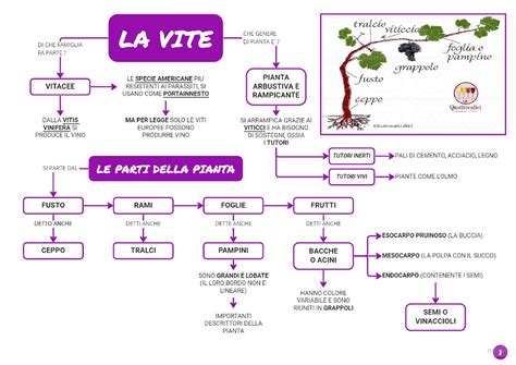 schema concettuale della distinzione tra vita biologica e vita personale