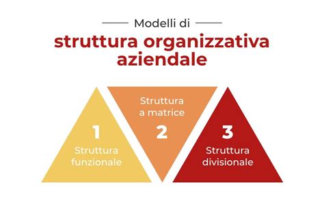 Schema illustrativo della struttura organizzativa dei reparti di Ostetricia e Ginecologia