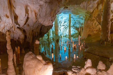 Formazioni carsiche a forma di animali nelle Grotte di Frasassi