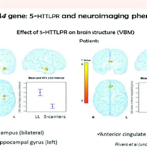 schema che illustra la struttura del gene 5-HTTLPR