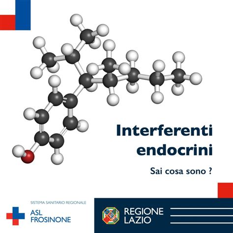 Schema degli interferenti endocrini e loro effetti sul corpo femminile