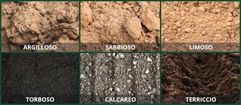 Tipi di terreno: sabbioso, limoso, argilloso e franco