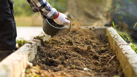 Infografica sulle tecniche di miglioramento del terreno (ammendamento, concimazione, correzione del pH)